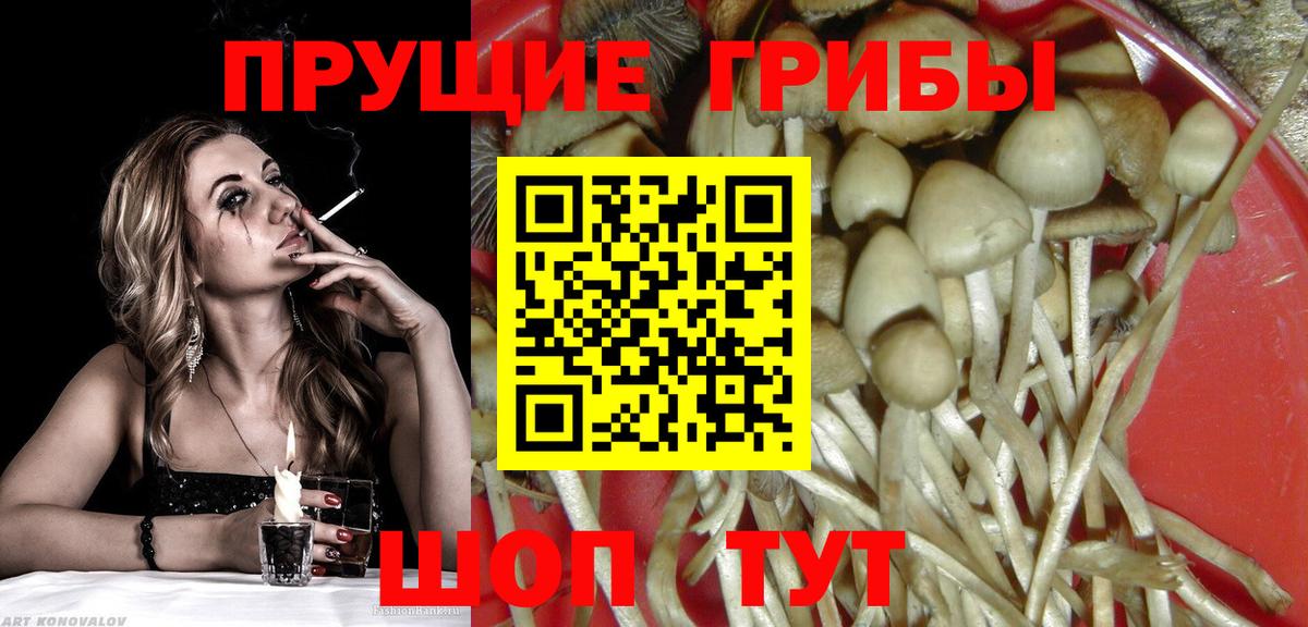Псилоцибиновые грибы GOLDEN TEACHER  Галлюциногенные грибы мухоморы  Уварово  Вход с VPN 